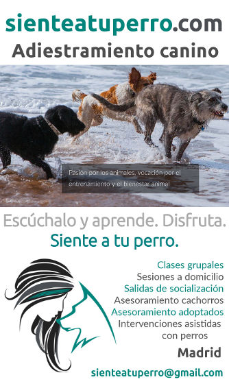 Sentido Animal