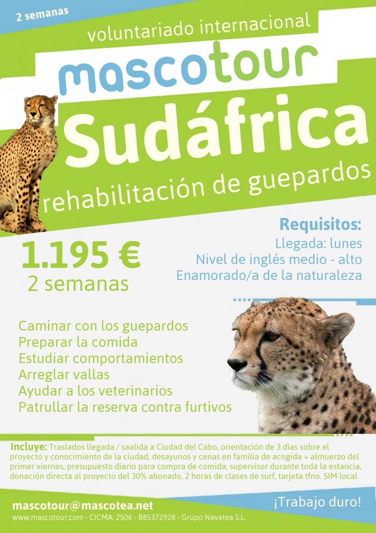 1218-large-cartel-voluntariado-rehabilit