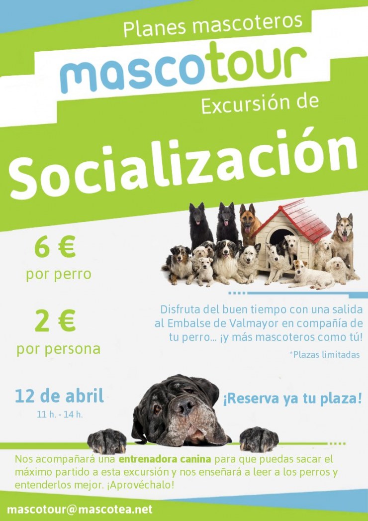 1484-large-socializacion-mascotour.jpg