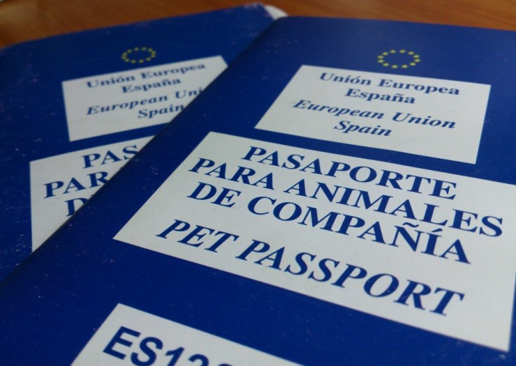 Pasaportes NyN